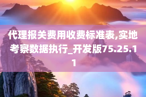 代理报关费用收费标准表,实地考察数据执行_开发版75.25.11