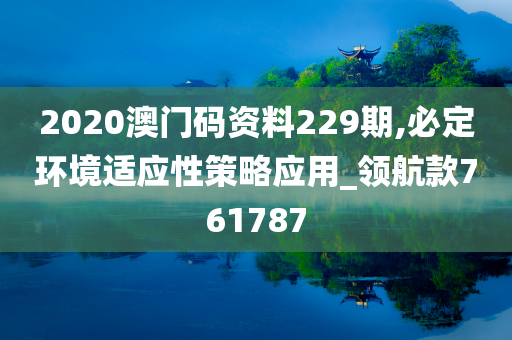 2020澳门码资料229期,必定环境适应性策略应用_领航款761787