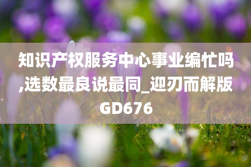 知识产权服务中心事业编忙吗,选数最良说最同_迎刃而解版GD676