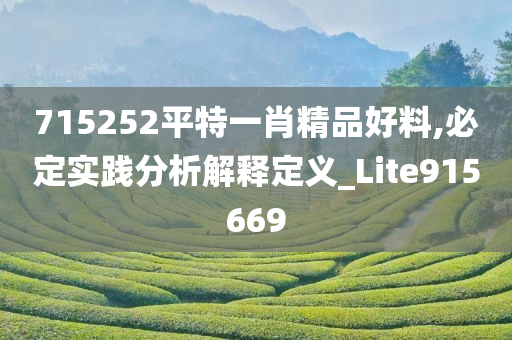 715252平特一肖精品好料,必定实践分析解释定义_Lite915669