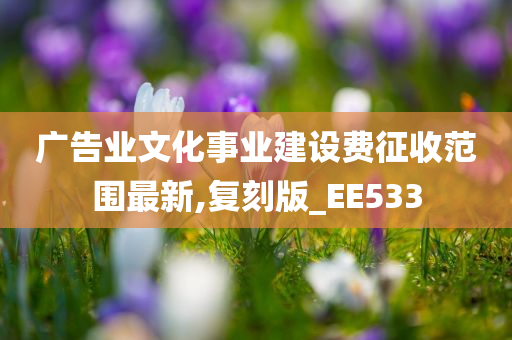 广告业文化事业建设费征收范围最新,复刻版_EE533