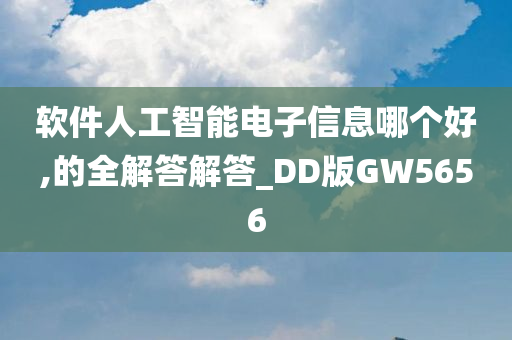 软件人工智能电子信息哪个好,的全解答解答_DD版GW5656