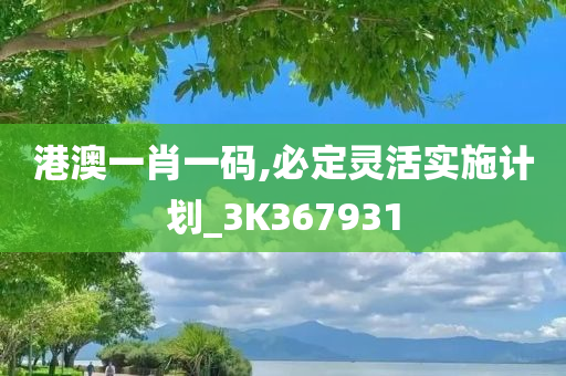 港澳一肖一码,必定灵活实施计划_3K367931