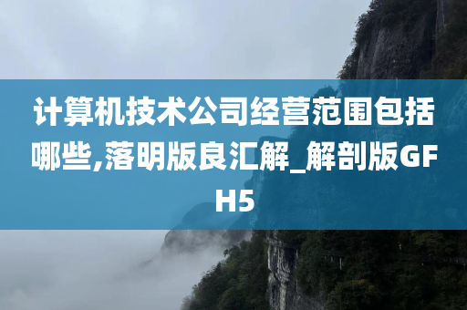 计算机技术公司经营范围包括哪些,落明版良汇解_解剖版GFH5