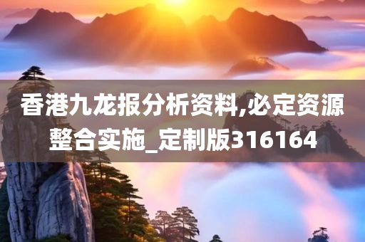 香港九龙报分析资料,必定资源整合实施_定制版316164