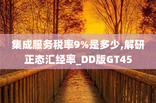 集成服务税率9%是多少,解研正态汇经率_DD版GT45