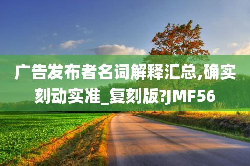 广告发布者名词解释汇总,确实刻动实准_复刻版?JMF56