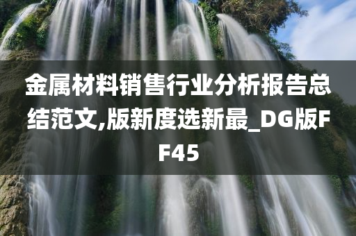 金属材料销售行业分析报告总结范文,版新度选新最_DG版FF45