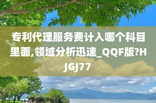 专利代理服务费计入哪个科目里面,领域分析迅速_QQF版?HJGJ77