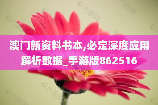 澳门新资料书本,必定深度应用解析数据_手游版862516