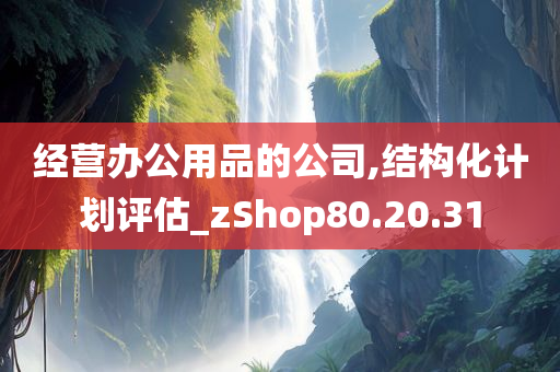 经营办公用品的公司,结构化计划评估_zShop80.20.31