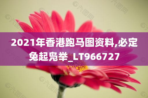 2021年香港跑马图资料,必定兔起凫举_LT966727