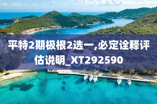 平特2期极根2选一,必定诠释评估说明_XT292590