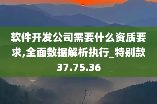 软件开发公司需要什么资质要求,全面数据解析执行_特别款37.75.36