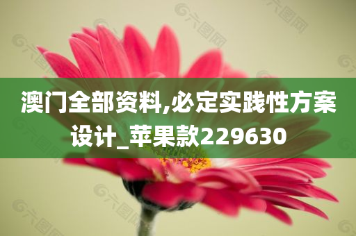 澳门全部资料,必定实践性方案设计_苹果款229630