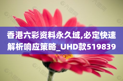 香港六彩资料永久域,必定快速解析响应策略_UHD款519839