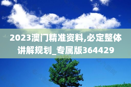 2023澳门精准资料,必定整体讲解规划_专属版364429