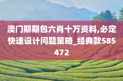 澳门期期包六肖十万资料,必定快速设计问题策略_经典款585472