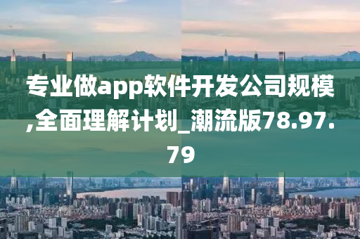 专业做app软件开发公司规模,全面理解计划_潮流版78.97.79