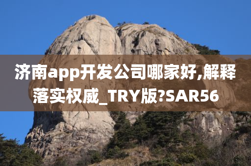 济南app开发公司哪家好,解释落实权威_TRY版?SAR56