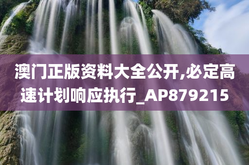 澳门正版资料大全公开,必定高速计划响应执行_AP879215