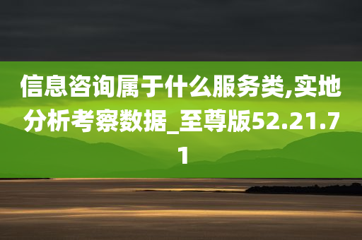 信息咨询属于什么服务类,实地分析考察数据_至尊版52.21.71