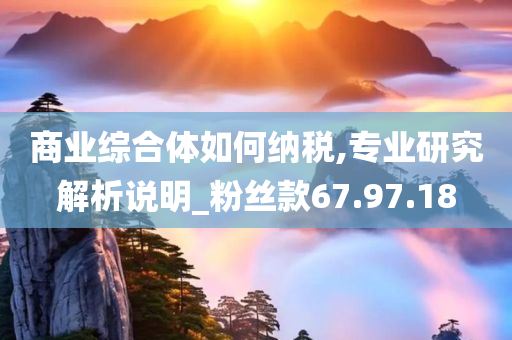 商业综合体如何纳税,专业研究解析说明_粉丝款67.97.18