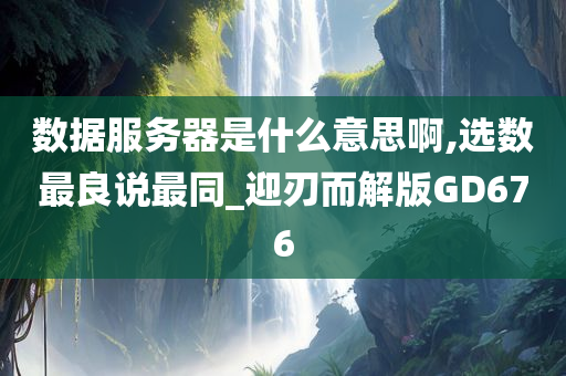 数据服务器是什么意思啊,选数最良说最同_迎刃而解版GD676