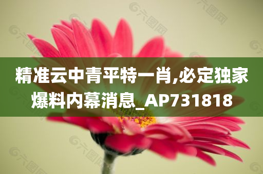 精准云中青平特一肖,必定独家爆料内幕消息_AP731818