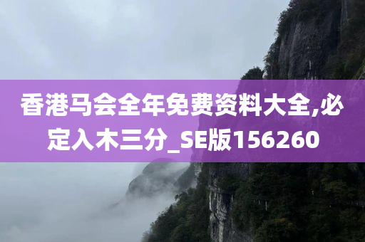 香港马会全年免费资料大全,必定入木三分_SE版156260