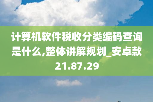 计算机软件税收分类编码查询是什么,整体讲解规划_安卓款21.87.29