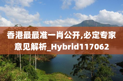 香港最最准一肖公开,必定专家意见解析_Hybrid117062