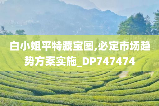 白小姐平特藏宝图,必定市场趋势方案实施_DP747474