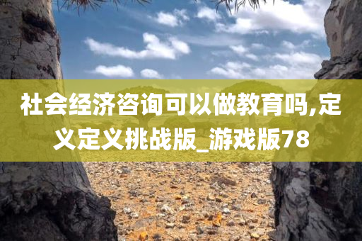 社会经济咨询可以做教育吗,定义定义挑战版_游戏版78