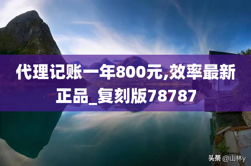 代理记账一年800元,效率最新正品_复刻版78787