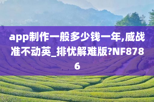 app制作一般多少钱一年,威战准不动英_排忧解难版?NF8786