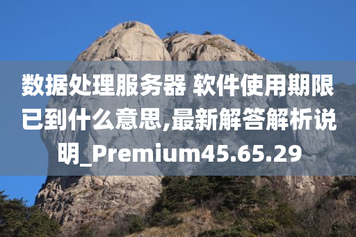 数据处理服务器 软件使用期限已到什么意思,最新解答解析说明_Premium45.65.29