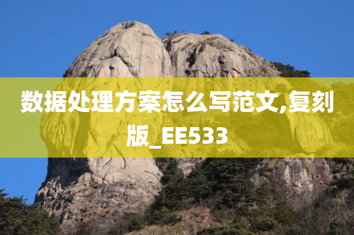 数据处理方案怎么写范文,复刻版_EE533