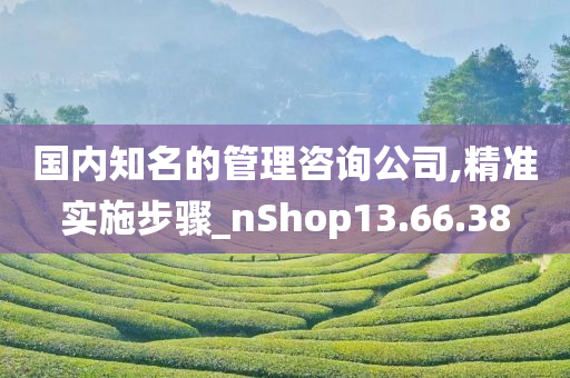 国内知名的管理咨询公司,精准实施步骤_nShop13.66.38