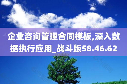 企业咨询管理合同模板,深入数据执行应用_战斗版58.46.62