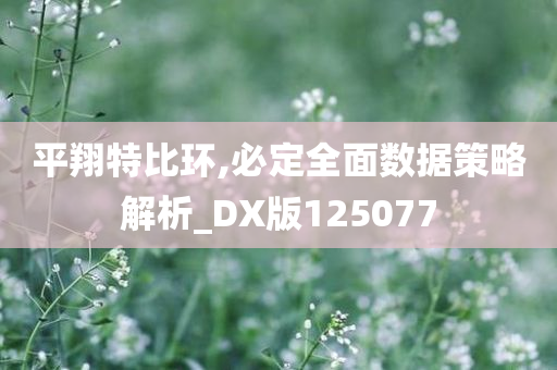 平翔特比环,必定全面数据策略解析_DX版125077