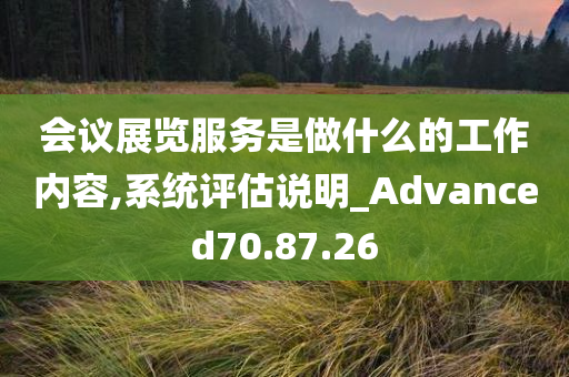 会议展览服务是做什么的工作内容,系统评估说明_Advanced70.87.26