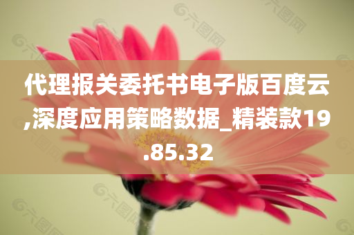 代理报关委托书电子版百度云,深度应用策略数据_精装款19.85.32