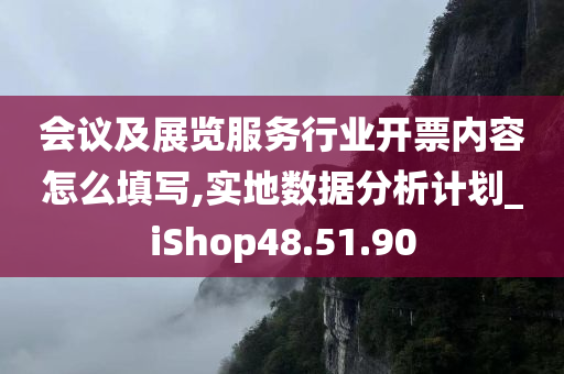 会议及展览服务行业开票内容怎么填写,实地数据分析计划_iShop48.51.90