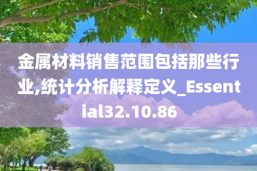 金属材料销售范围包括那些行业,统计分析解释定义_Essential32.10.86