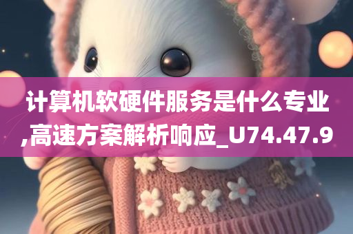 计算机软硬件服务是什么专业,高速方案解析响应_U74.47.90