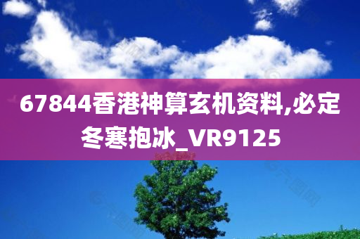 67844香港神算玄机资料,必定冬寒抱冰_VR9125