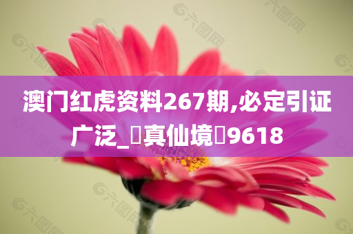 澳门红虎资料267期,必定引证广泛_‌真仙境‌9618