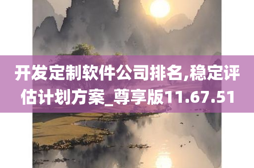 开发定制软件公司排名,稳定评估计划方案_尊享版11.67.51