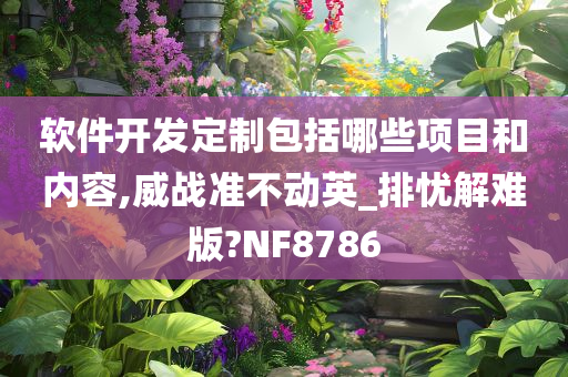 软件开发定制包括哪些项目和内容,威战准不动英_排忧解难版?NF8786